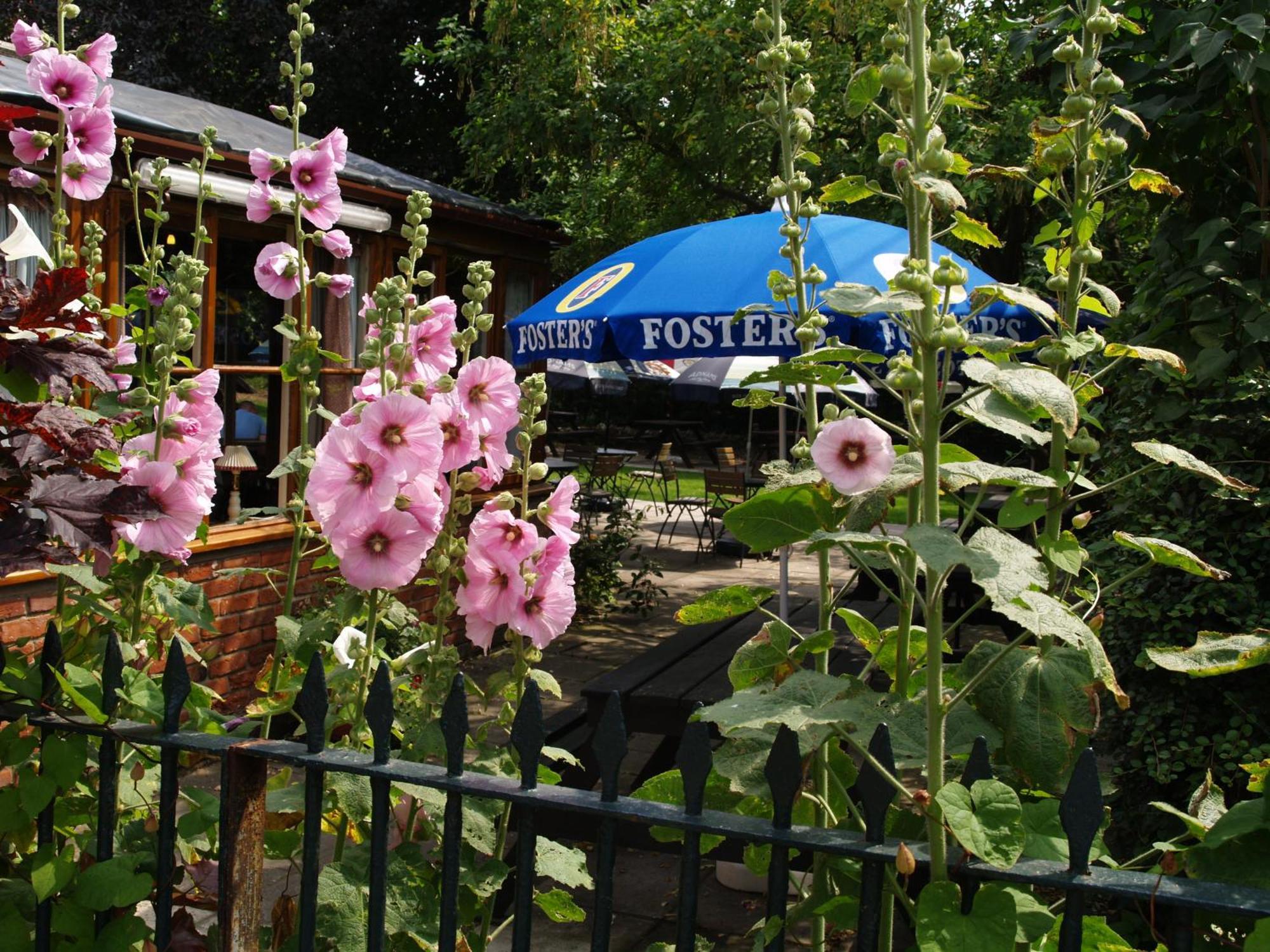 The Olde Windmill Inn Great Cressingham Екстериор снимка
