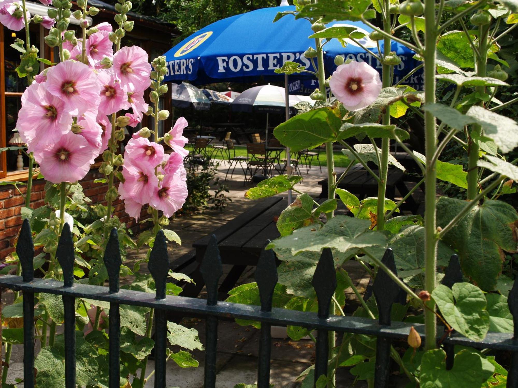 The Olde Windmill Inn Great Cressingham Екстериор снимка